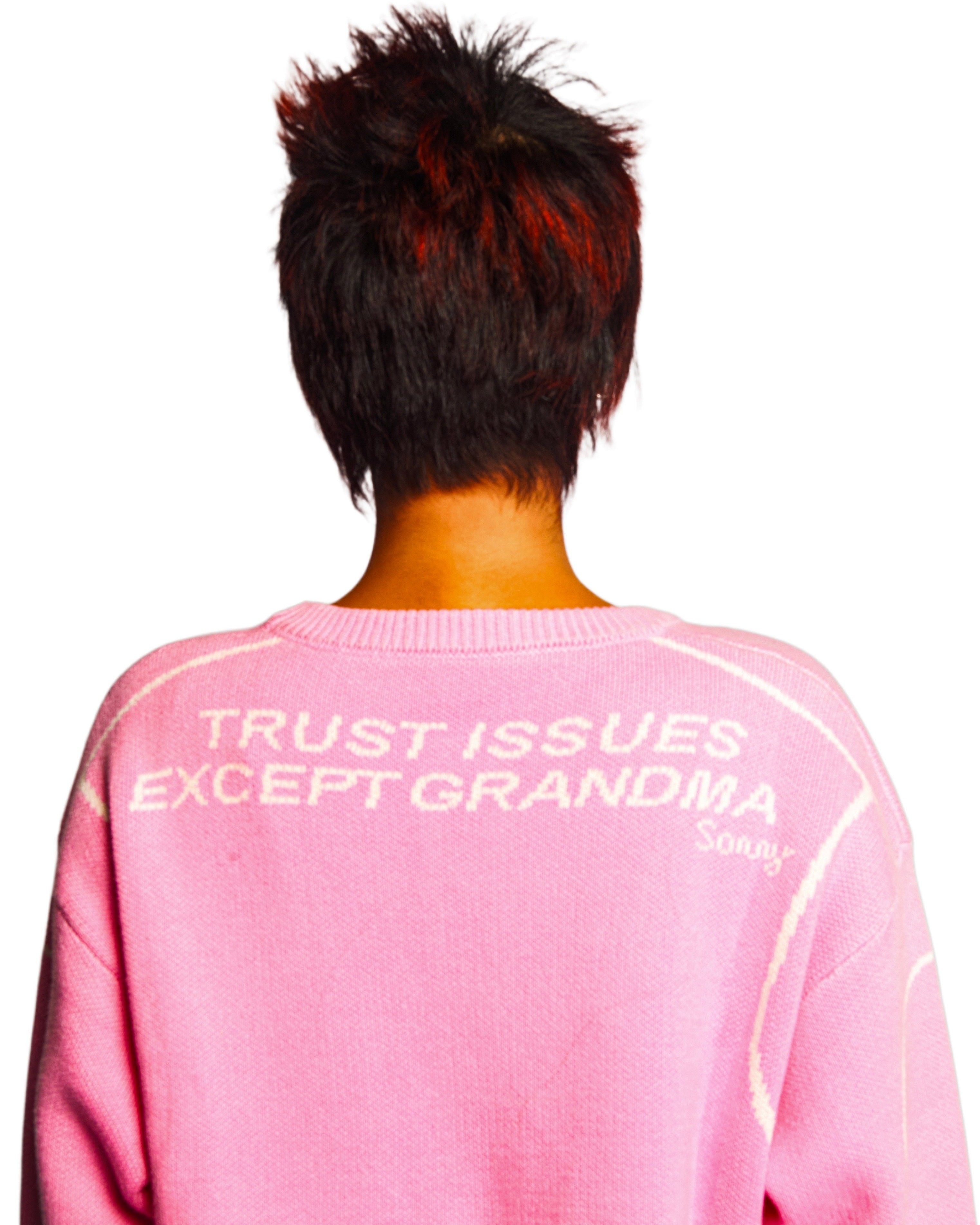 Pink Graphic Jacquard Cotton Crewneck Sweater